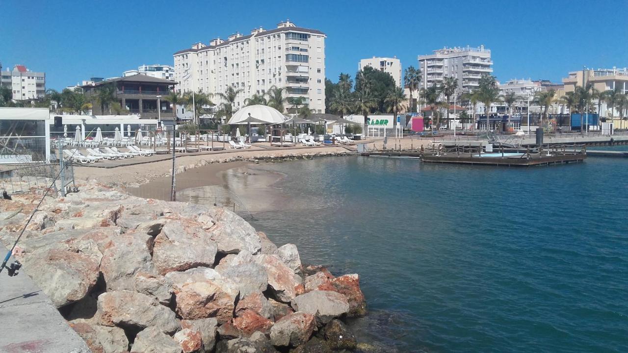 Primerisima Linea De Playa De Gandia Vt-45633-V エクステリア 写真